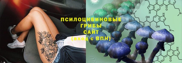 прущие крисы Алексеевка
