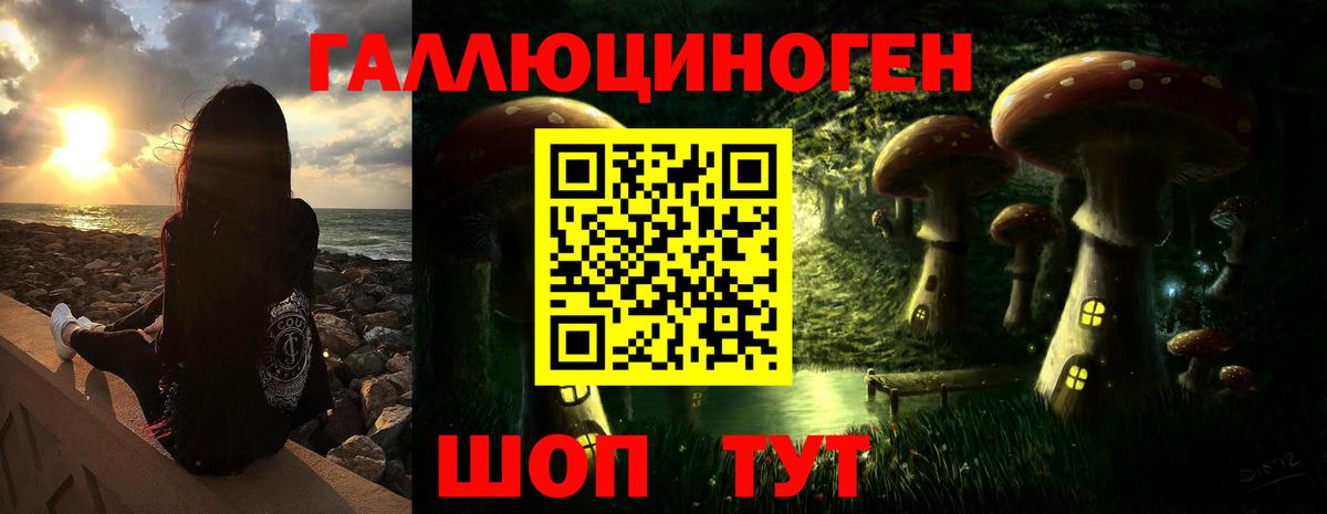 Псилоцибиновые грибы GOLDEN TEACHER Волхов