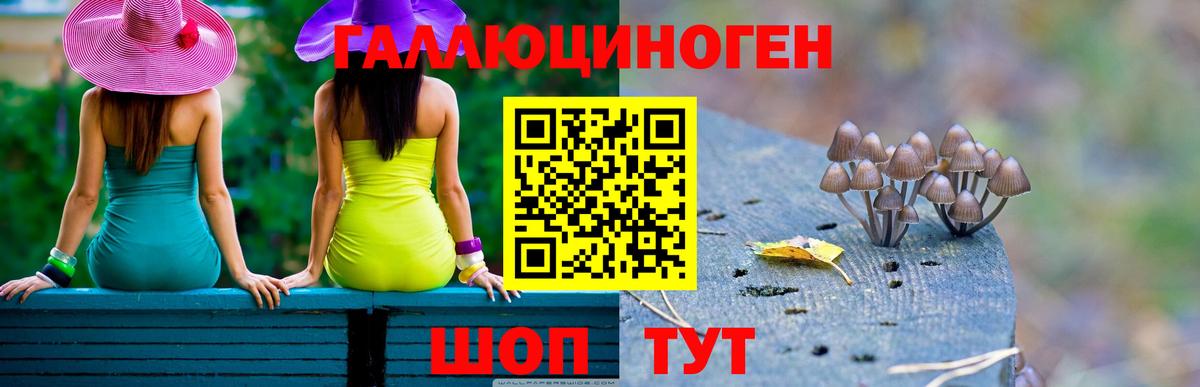 Волхов  Галлюциногенные грибы ЛСД  Галлюциногенные грибы Psilocybe  Вход с VPN 